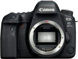 Canon EOS 6D Mark II: schwenkbares Display und gute Akkulaufzeit.