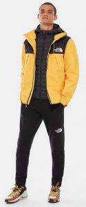the north face Hardshell