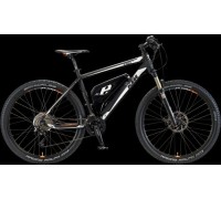 e-Race P 650 - Shimano Deore XT (Modell 2013)