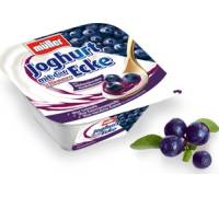Müller Milchprodukte Joghurt mit der schlemmer Ecke Heidelbeere