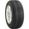 SV1 Snow Viva 91H; 195/65 R15T/H