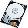 Toshiba MK8032GAX (80 GB)
