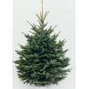 Weihnachtsbaum Blaufichte