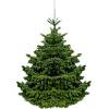 Weihnachtsbaum Nordmanntanne