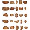 Holzgriff