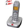 BIGTEL100