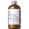 blaubeere farbglanz shampoo