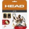 Head ETS