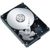 Seagate Barracuda ES.2 ST31000640SS (1 TB)