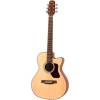 Walden T 550 CE