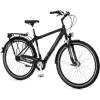 Raleigh Unico de Luxe XXL