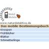 Web 2 Mobile