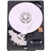 Western Digital Caviar Blue 500 GB (WD5000AAJS)