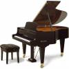 Bösendorfer Modell 170