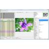 WildBit Software WildBit Viewer 5.5
