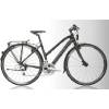 Circle Cycles Symmetry