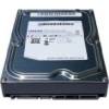 Samsung Spinpoint F3