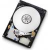 Hitachi Travelstar 7K500 500GB (HTS725050A9A364)