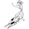 Horizon Fitness Endurance