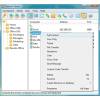 Famatech Radmin 3.4 Remote Control
