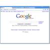 Google Chrome 4.0