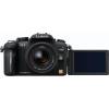 Lumix DMC-G2 Kit (mit LUMIX G VARIO 14-42mm / F3.5-5.6 ASPH./O.I.S.)