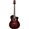 Transparent Black Cherry Sunburst Elektroakustik