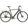 Circle Cycles Radius EX Rohloff Premium