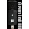 SE Electronics Gemini III