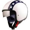 Project for Safety Gordon in/out Visor