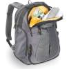 Bumblebee DL-210