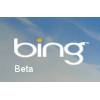 Bing Volltext-Suchmaschine