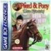 Pferd & Pony