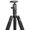 Stativ-Kopf-Set (Vitruvian VGR 8255 mit MH 5310-630)
