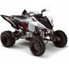 Yamaha Motor YFM700R Special Edition (35 kW) [10]