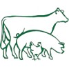 Schröder's Bioland Hähnchenbrustfilet (Bio)