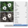 Rorohiko Workflow Resources TextExporter