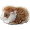 Althans Meerschweinchen