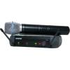 PGX 24E/Beta 87A T1
