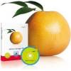 Combit Address Manager 15