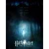 Harry Potter und die Heiligtümer des Todes 2010 (für Handy)