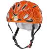 Salewa Xenon 10/11