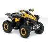 CAN-AM Renegade 800R EFI X XC (53 kW)
