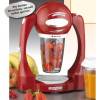 DS Produkte Pro V Smoothie Maker