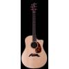 Breedlove American Series D25/SRE