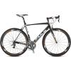 Altamira 1.0 Carbonrahmen