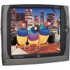 ViewSonic ViewPad 100