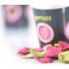 Energy Refill Rettich-Radischen Chips
