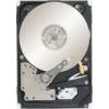 Seagate Constellation 2 ST91000640NS (1 TB)