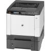 dcolor P2026